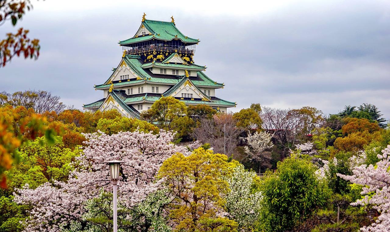 景德镇追寻梦想的起点：为何选择高考后去日本留学？